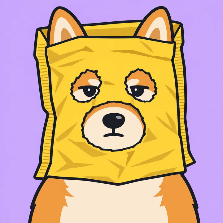 Baggy the shiba